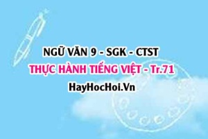 Soạn bài Thực hành Tiếng Việt trang 71 Ngữ Văn lớp 9 tập 1 Chân trời sáng tạo